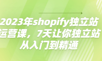 (3016)2023年shopify独立站运营课,7天让你独立站从入门到精通