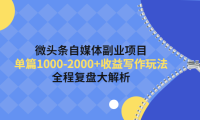(3021)微头条自媒体副业项目,单篇1000-2000+收益写作玩法,全程复盘大解析!