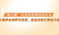 (3034)“毒文案”抖音短视频项目玩法,小程序拿图即可变现,复盘经验分享给大家