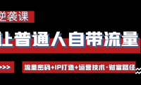 （3036）让普通人自带流量的逆袭课：流量密码+IP打造+运营技术·财富路径