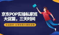 (3044)京东POP实操私家班:大促篇,3天时间,实战剖析-从零到百万爆款店铺