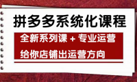 (3045)车神陪跑,拼多多系统化课程,全新系列课+专业运营给你店铺出运营方向