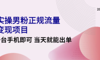 (3051)2022实操男粉正规流量变现项目,一台手机即可 当天就能出单【视频课程】