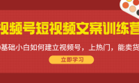 （3052）视频号短视频文案训练营：0基础小白如何建立视频号，上热门，能卖货！