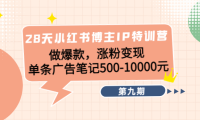 (3053)28天小红书博主IP特训营《第9期》做爆款,涨粉变现 单条广告笔记500-10000