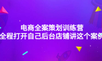 (3054)电商全案策划训练营:全程打开自己后台店铺讲这个案例(9节课时)