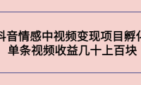 (3068)黄岛主副业孵化营第5期:抖音情感中视频变现项目孵化 单条视频收益几十上百