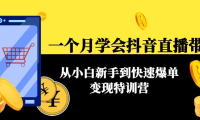 （3085）一个月学会抖音直播带货：从小白新手到快速爆单变现特训营(63节课)