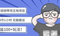 （3096）京东短视频带货项目：每天操作2小时，月收益3000+副业项目-价值1988元