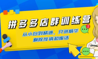 (3104)拼多多店群训练营:从小白到精通,只讲精华,剔除推销和废话
