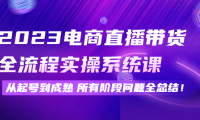 （3111）2023电商直播带货全流程实操系统课：从起号到成熟所有阶段问题全总结！