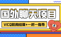 (3148)外卖收费998的国外聊天项目,打字一天3-4美金轻轻松松