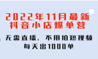 (3149)2022年11月最新抖音小店爆单训练营:无需直播,不用拍短视频,每天出1000单