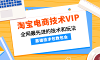 (3153)淘宝电商技术,全网最先进的技术和玩法,靠谱技术包教包会(更新115)