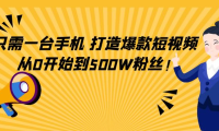 （3156）只需一台手机，轻松打造爆款短视频，从0开始到500W粉丝！