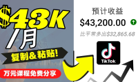 （3167）2022抖音国际版Tiktok赚钱项目：每天上传一个视频就轻松月入$43200