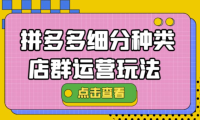 (3169)拼多多细分种类店群运营玩法3.0,11月最新玩法,小白也可以操作