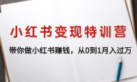 (3176)小红书变现特训营:带你做小红书赚钱,从0到1月入过万