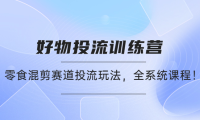（3177）好物推广投流训练营：零食混剪赛道投流玩法，全系统课程！