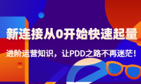 (3179)新连接从0开始快速起量:进阶运营知识,让拼多多之路不再迷茫!