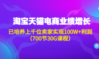 (3227)淘系天猫电商业绩增长:已培养上千位卖家实现100W+利润(700节30G课程)