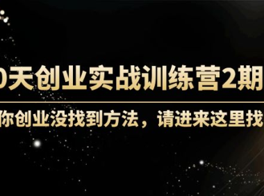 (2975)60天创业实战训练营2期:如果你创业没找到方法,进来这里找赛道-价值3000元