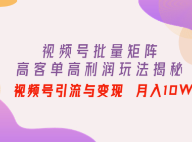 （2979）视频号批量矩阵的高客单高利润玩法揭秘： 视频号引流与变现 月入10W+