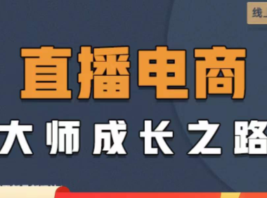 （2986）直播电商高手成长之路：教你成为直播电商大师，玩转四大板块（25节）