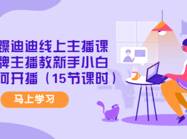 （2989）暴躁迪迪线上主播课，金牌主播教新手小白如何开播（15节课时）