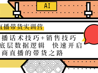 （2991）直播带货实训营：话术技巧+销售技巧+底层数据逻辑 快速开启直播带货之路
