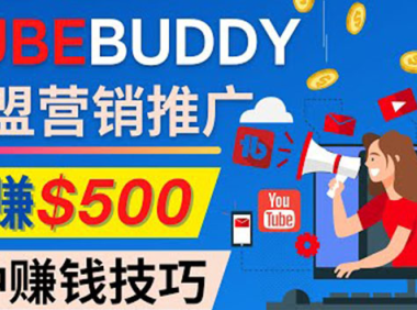 (2992)推广TubeBuddy联盟营销项目,完全免费的推广方法,轻松月赚500美元