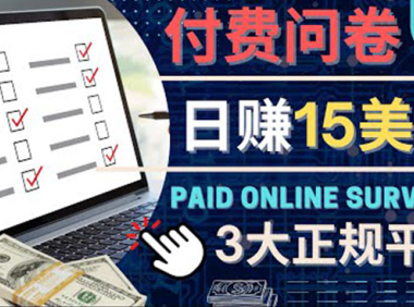 (2994)参与付费调查,利用自己的空闲时间完成问卷,适合新手的平台,日赚15美元