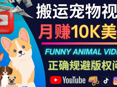 (3006)搬运TIKTOK视频到YouTube,并进行二次创作,月赚1万美元以上