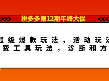 (3009)拼多多第12期年终大促:超级爆款玩法,活动玩法,付费工具玩法,诊断和方向