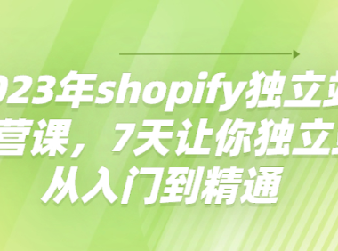 (3016)2023年shopify独立站运营课,7天让你独立站从入门到精通