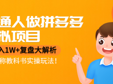 (3023)普通人做拼多多虚拟项目,月入1W+复盘大解析,堪称教科书实操玩法!