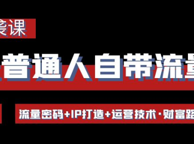 （3036）让普通人自带流量的逆袭课：流量密码+IP打造+运营技术·财富路径