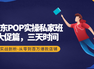 (3044)京东POP实操私家班:大促篇,3天时间,实战剖析-从零到百万爆款店铺