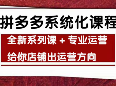 (3045)车神陪跑,拼多多系统化课程,全新系列课+专业运营给你店铺出运营方向