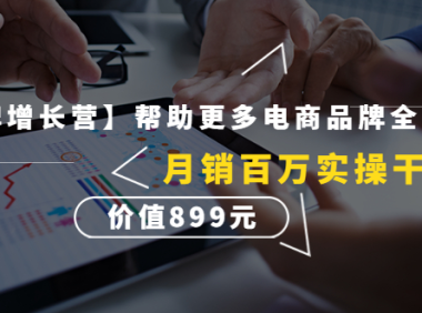 (3050)【王牌增长营】帮助更多电商品牌全域增长,月销百万实操干货,价值899元