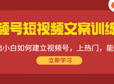 （3052）视频号短视频文案训练营：0基础小白如何建立视频号，上热门，能卖货！