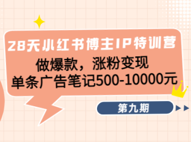 (3053)28天小红书博主IP特训营《第9期》做爆款,涨粉变现 单条广告笔记500-10000