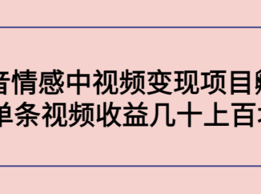 (3068)黄岛主副业孵化营第5期:抖音情感中视频变现项目孵化 单条视频收益几十上百