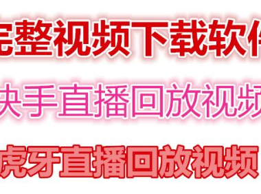 （3071）快手直播回放视频/虎牙直播回放视频完整下载(电脑软件+视频教程)