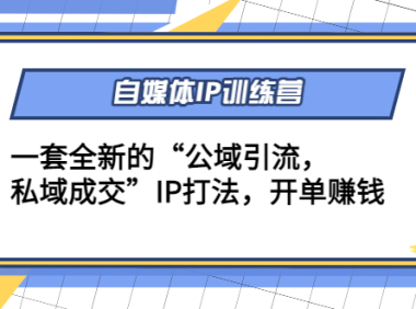 （3076）自媒体IP训练营(12+13期)一套全新的“公域引流，私域成交”IP打法 开单赚钱