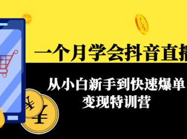 （3085）一个月学会抖音直播带货：从小白新手到快速爆单变现特训营(63节课)