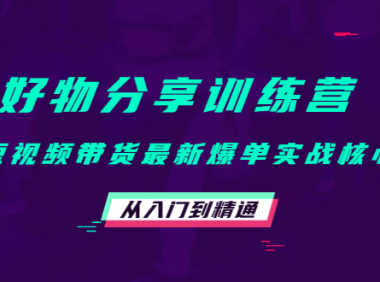 （3094）好物分享训练营：短视频带货最新爆单实战核心，从入门到精通！