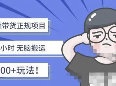 （3096）京东短视频带货项目：每天操作2小时，月收益3000+副业项目-价值1988元