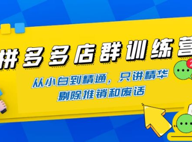 (3104)拼多多店群训练营:从小白到精通,只讲精华,剔除推销和废话