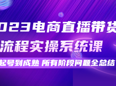 （3111）2023电商直播带货全流程实操系统课：从起号到成熟所有阶段问题全总结！